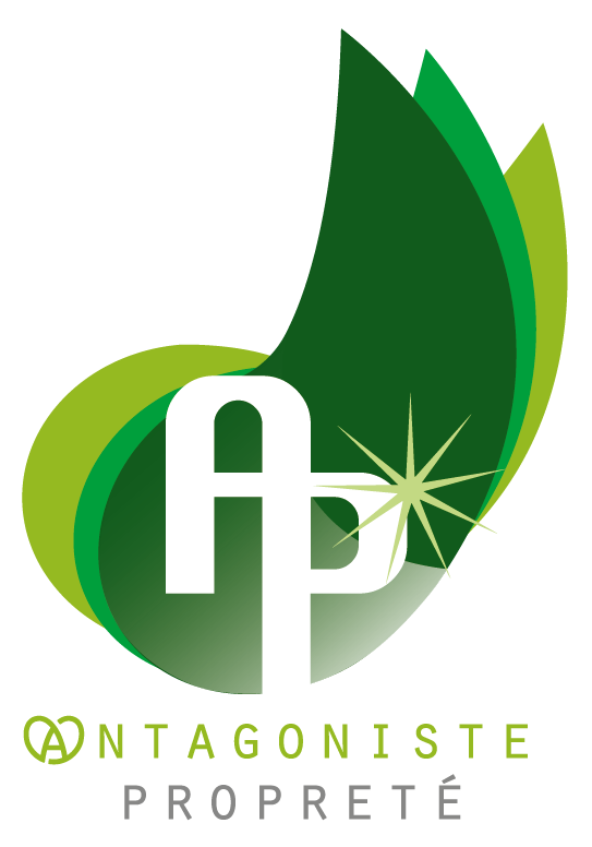 LOGO AP 2020